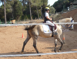Clases de equitación en Alella. Julio 2013.